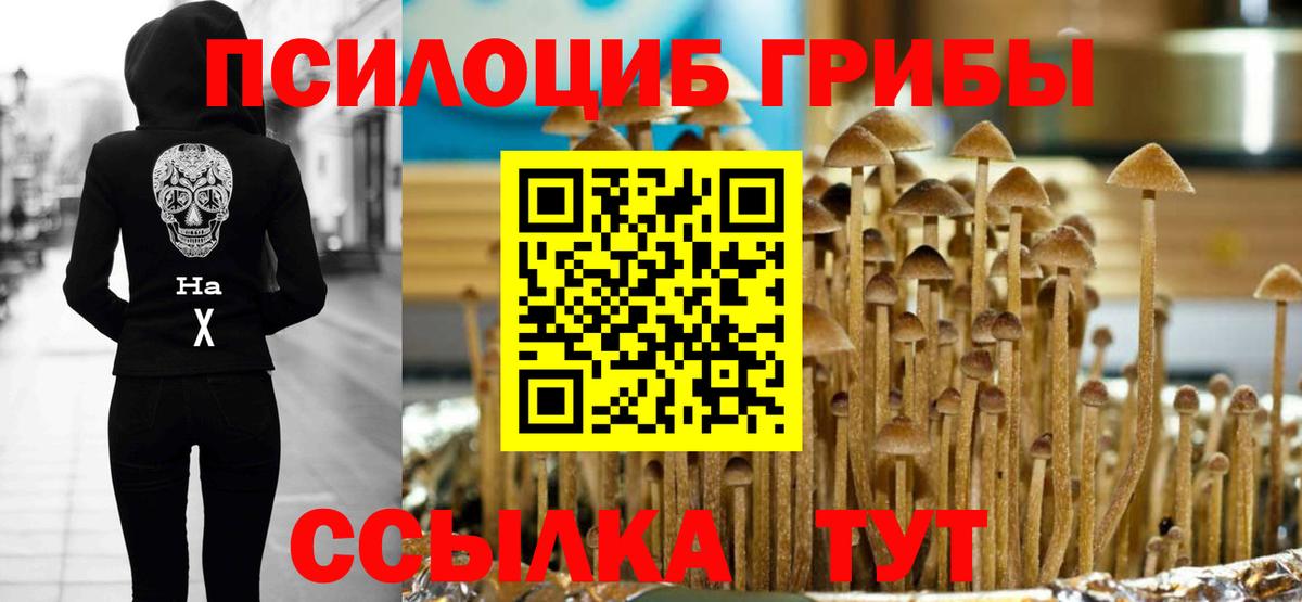 Комсомольск-на-Амуре  Псилоцибиновые грибы прущие грибы  Вход с VPN 